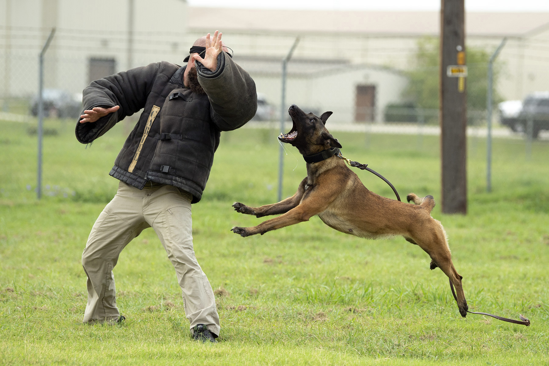 Army Dog Center team on a mission with trained security dogs