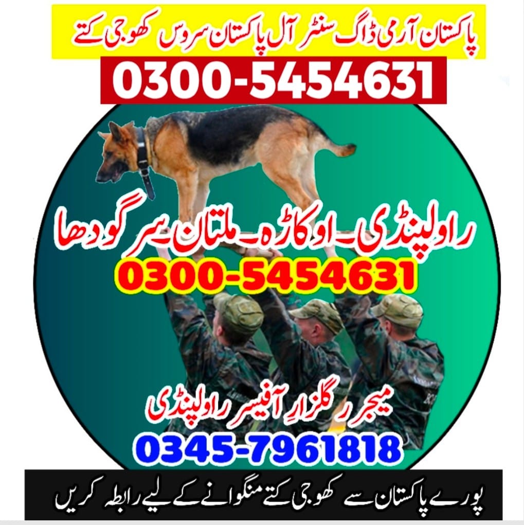 Army Dog Centre professional services in Okara, Punjab